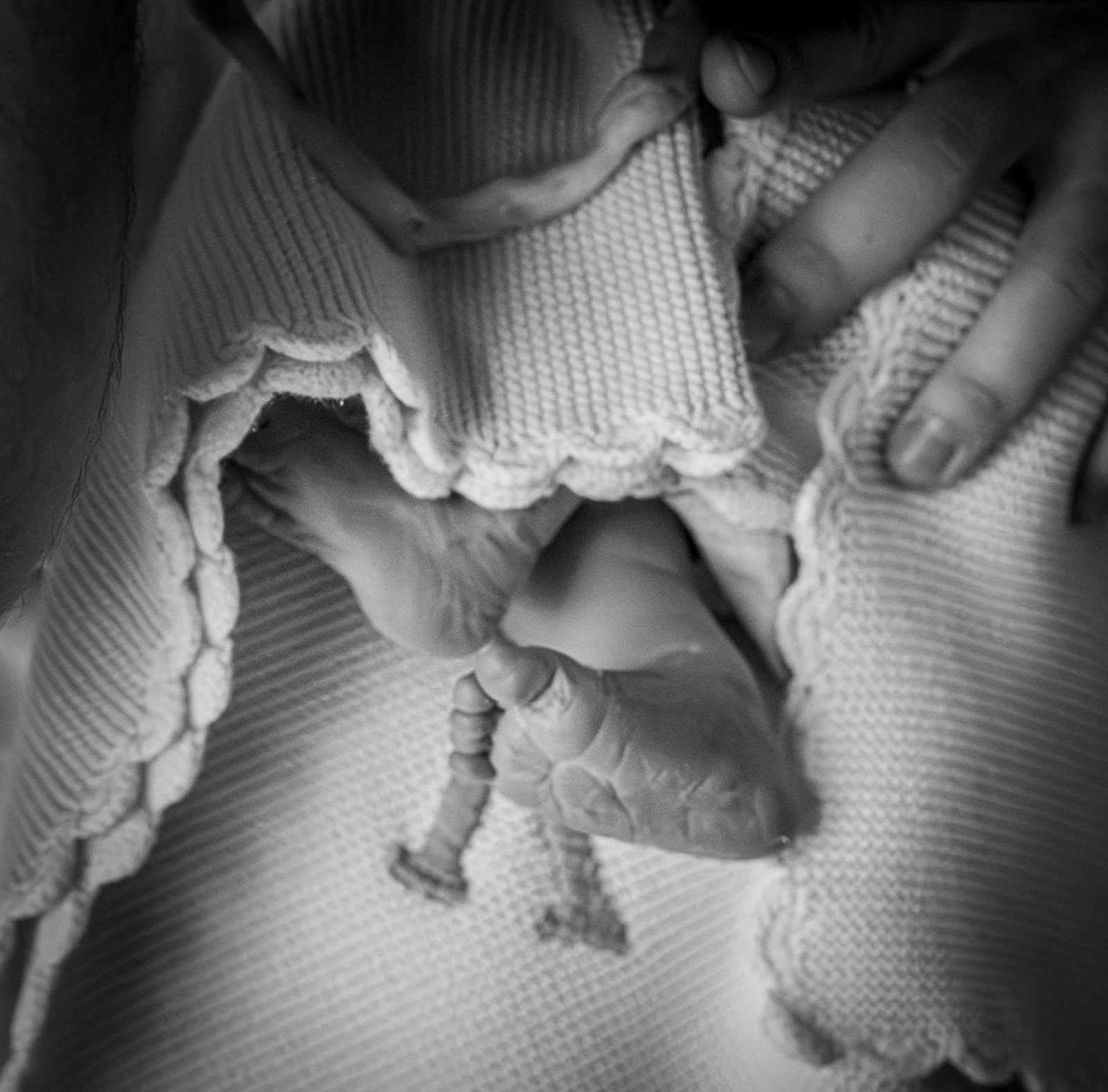 Black and white close-up of a newborn’s feet and a parent’s hand on a knitted blanket